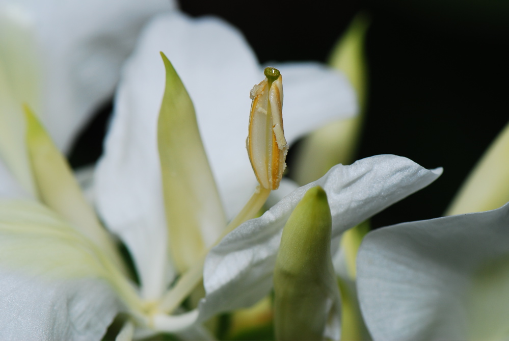 DSC_0118.JPG