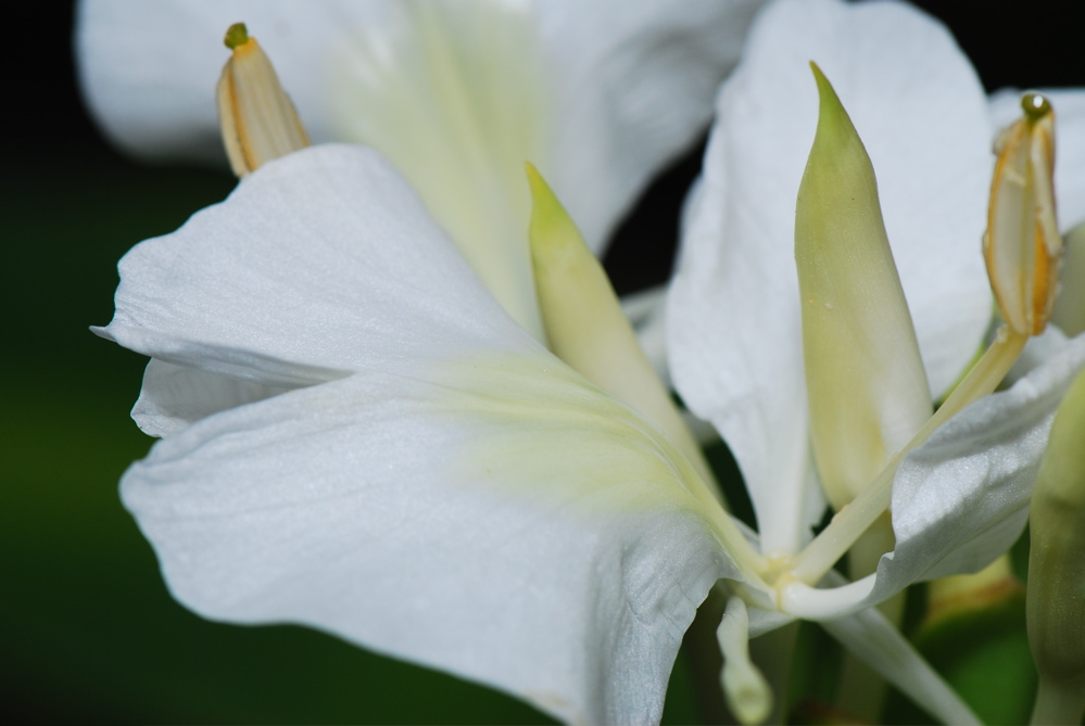 DSC_0119.JPG