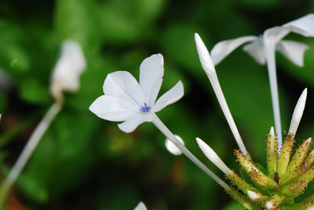 DSC_0165.JPG