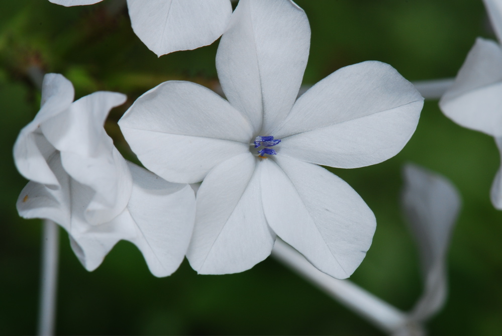 DSC_0168.JPG