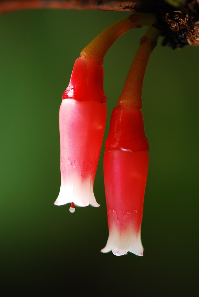 DSC_0275.JPG