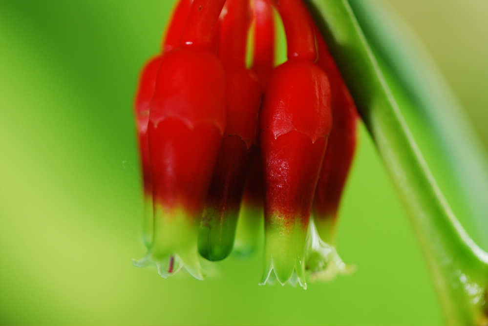 DSC_0276.JPG
