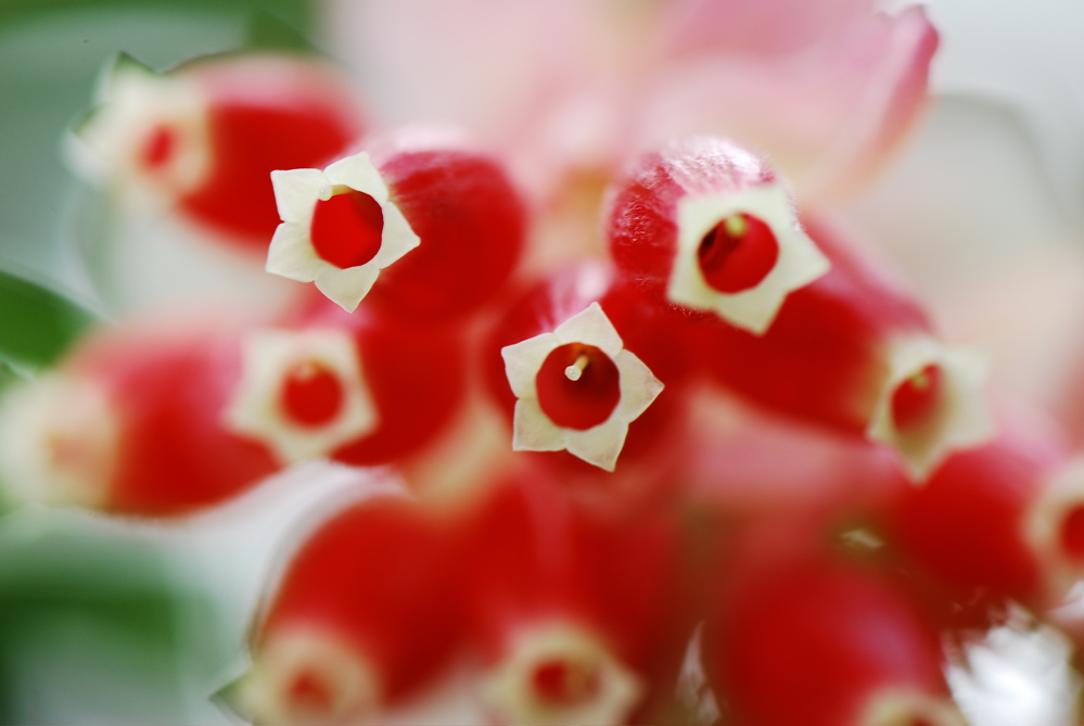 DSC_0306.JPG