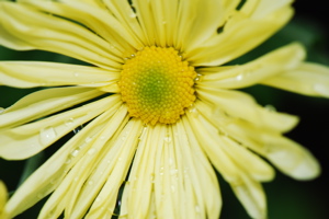 DSC_0069.JPG