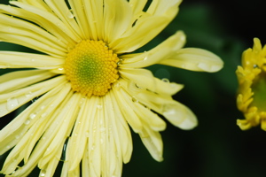 DSC_0070.JPG
