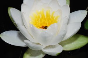 DSC_0148.JPG
