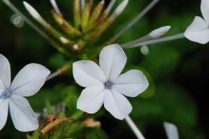 DSC_0163.JPG