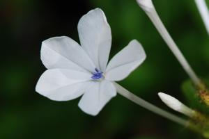 DSC_0166.JPG