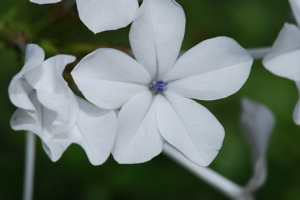 DSC_0168.JPG