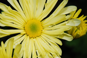 DSC_0075.JPG