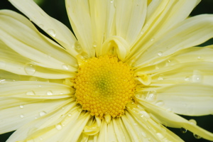 DSC_0079.JPG