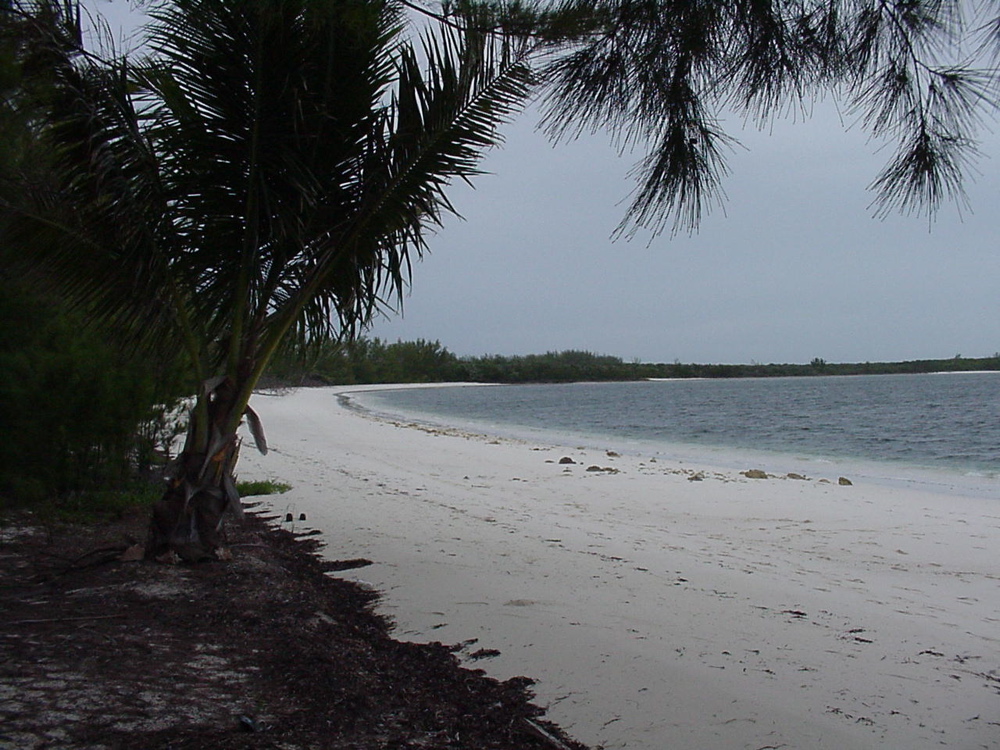 desert island