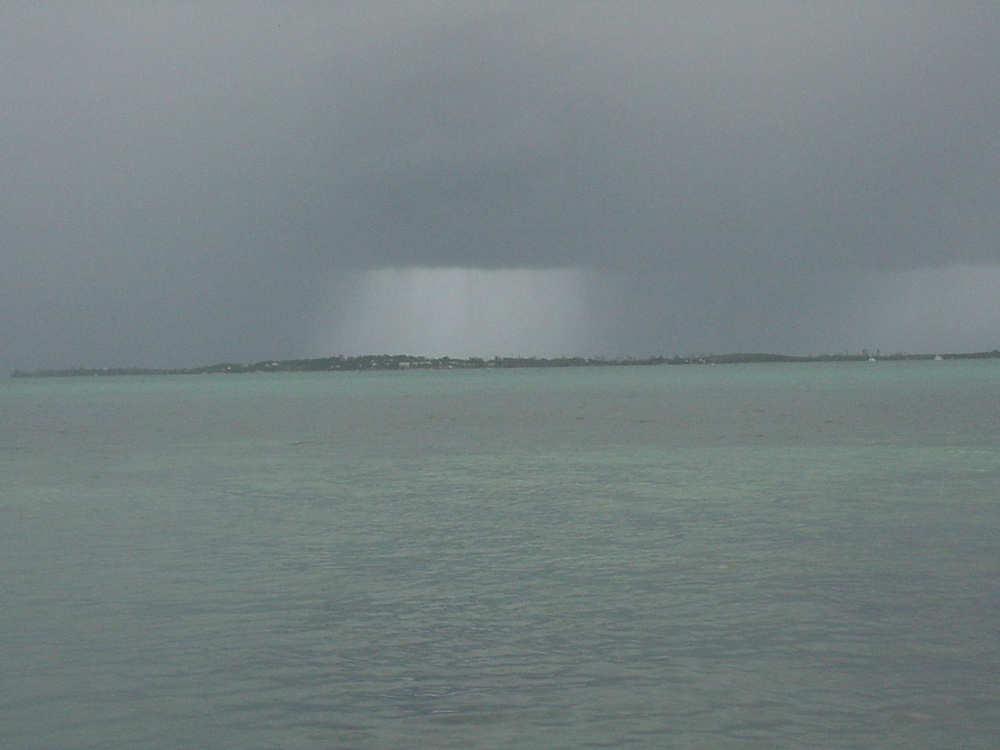 2 storms