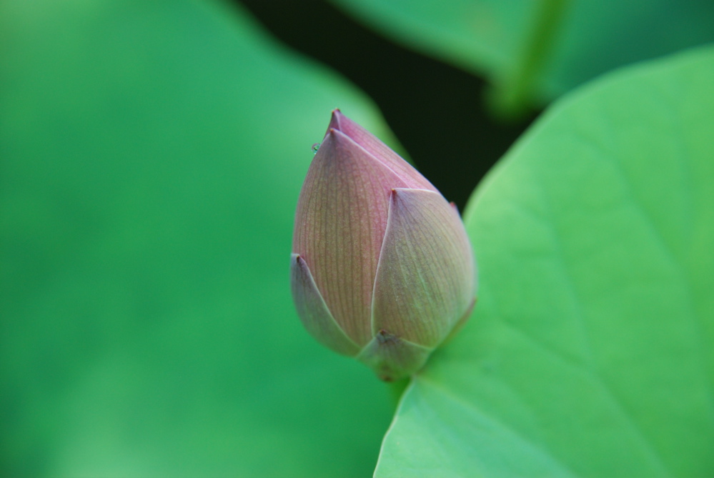 DSC_0016.JPG