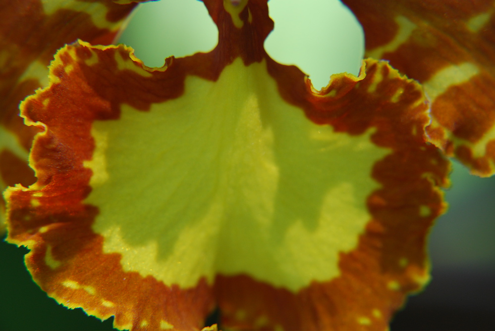 DSC_0096.JPG
