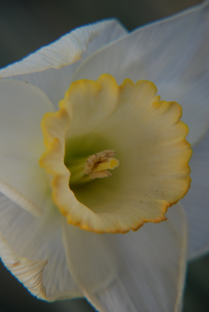 DSC_0559.JPG