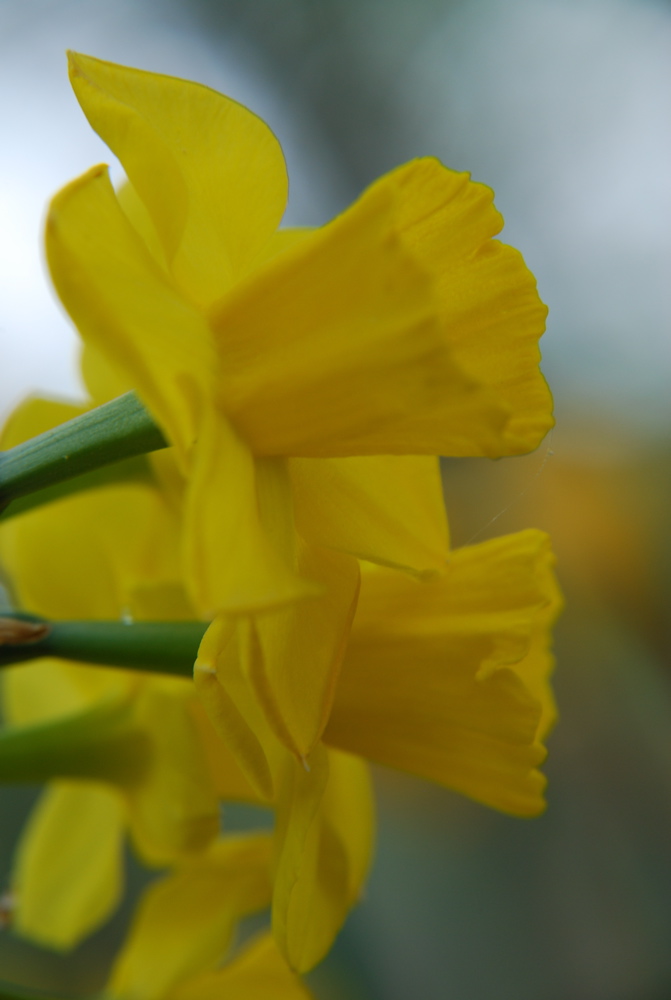 DSC_0077.JPG
