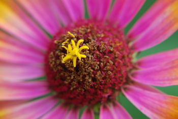 DSC_0418.JPG