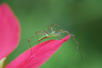 DSC_0450.JPG
