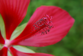 DSC_0453.JPG