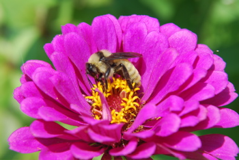 DSC_0004.JPG