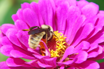 DSC_0006.JPG