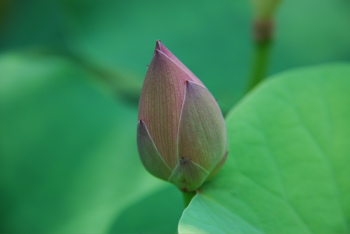 DSC_0017.JPG