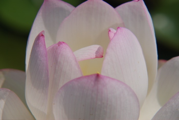 DSC_0043.JPG