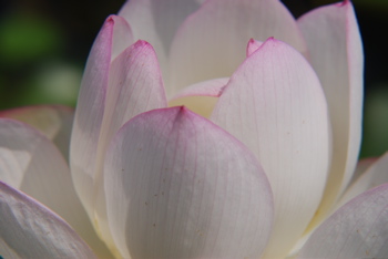DSC_0044.JPG