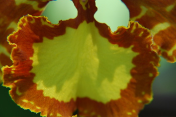 DSC_0096.JPG