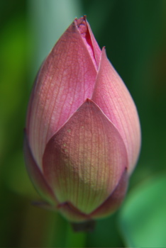 DSC_0146.JPG