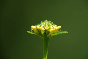 DSC_0016.JPG