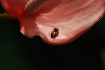 DSC_0118.JPG