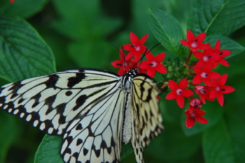 DSC_0143.JPG