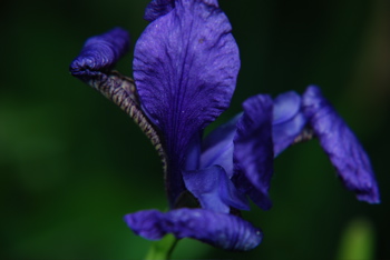 DSC_0314.JPG