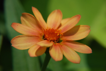DSC_0318.JPG