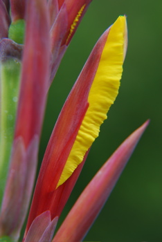 DSC_0384.JPG