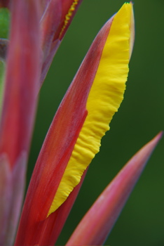 DSC_0385.JPG