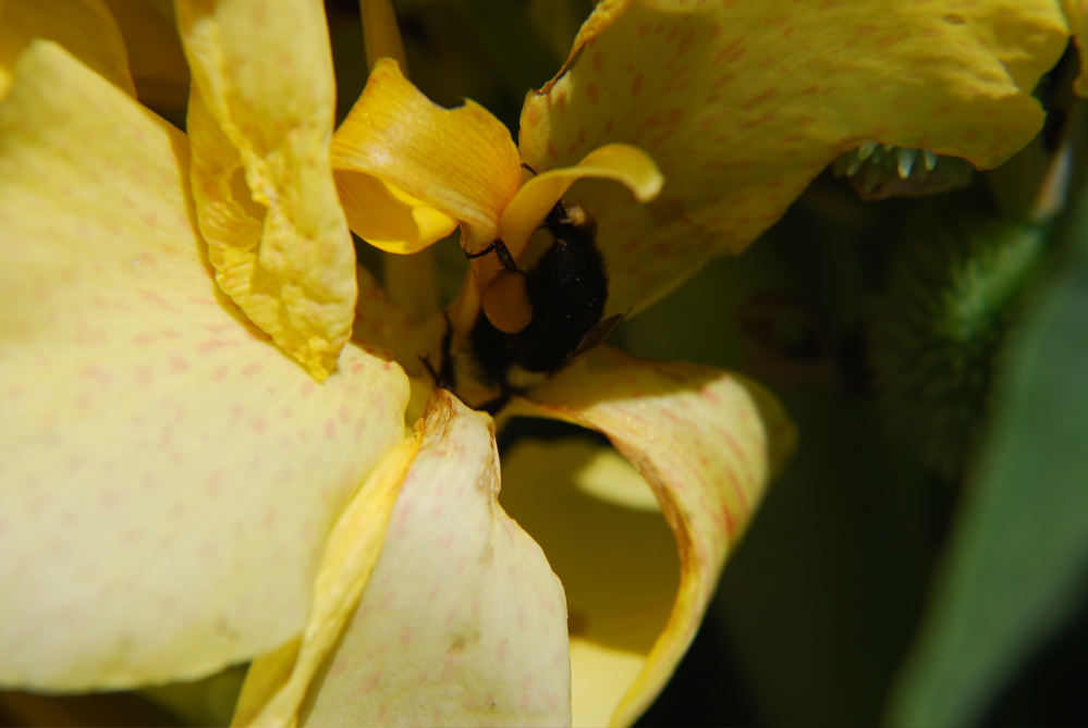 DSC_0014.JPG