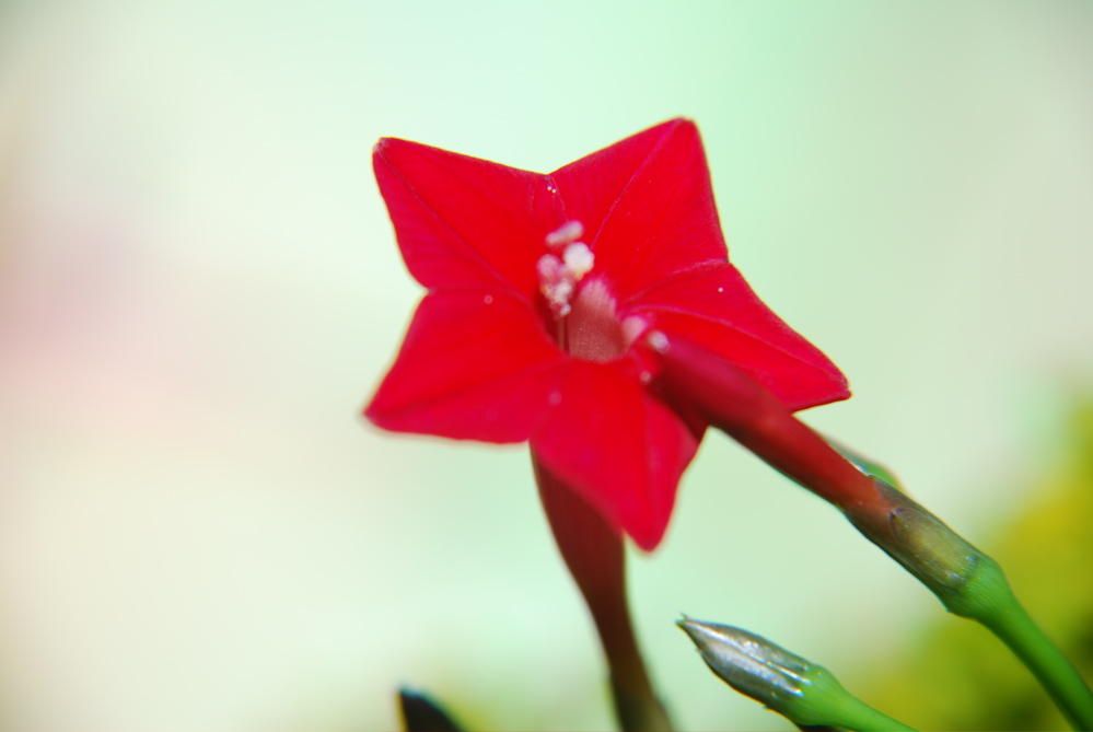 DSC_0024.JPG