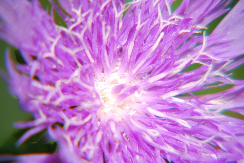 DSC_0025.JPG