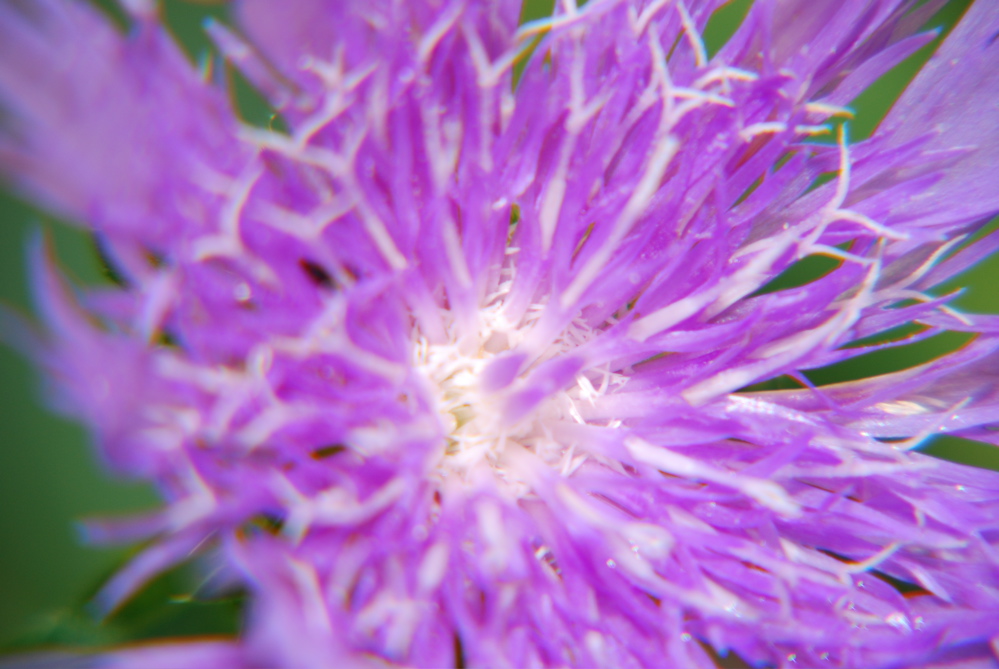 DSC_0026.JPG