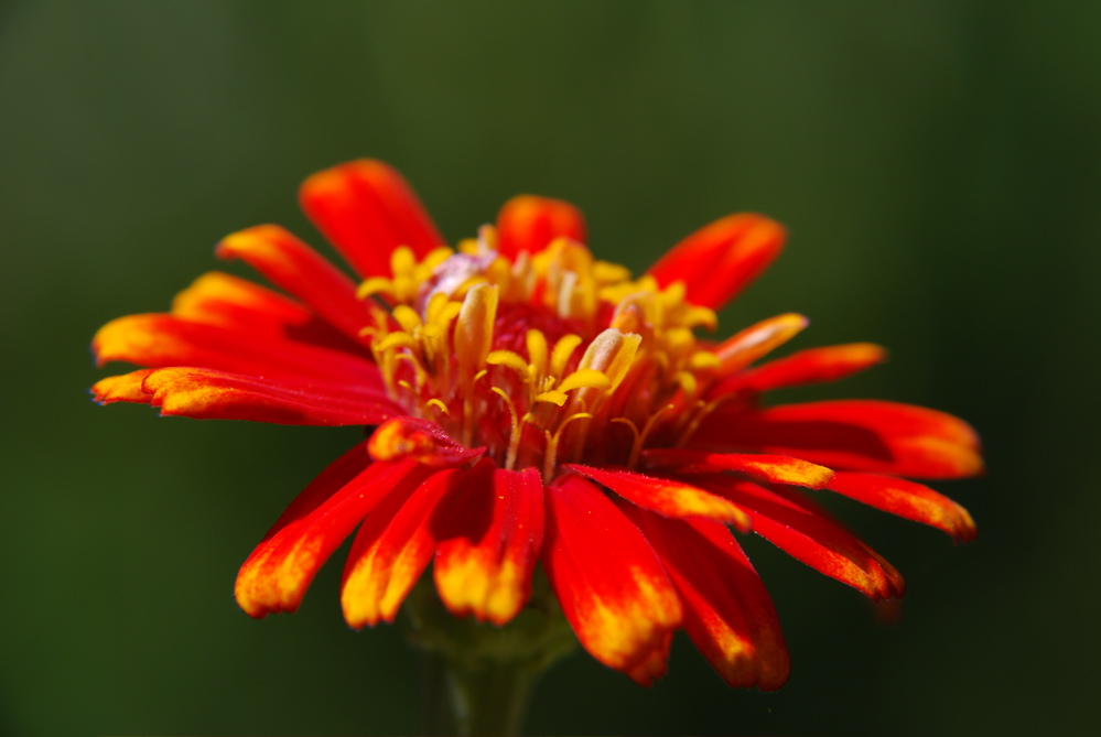 DSC_0042.JPG