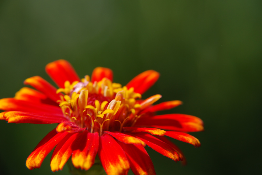 DSC_0043.JPG