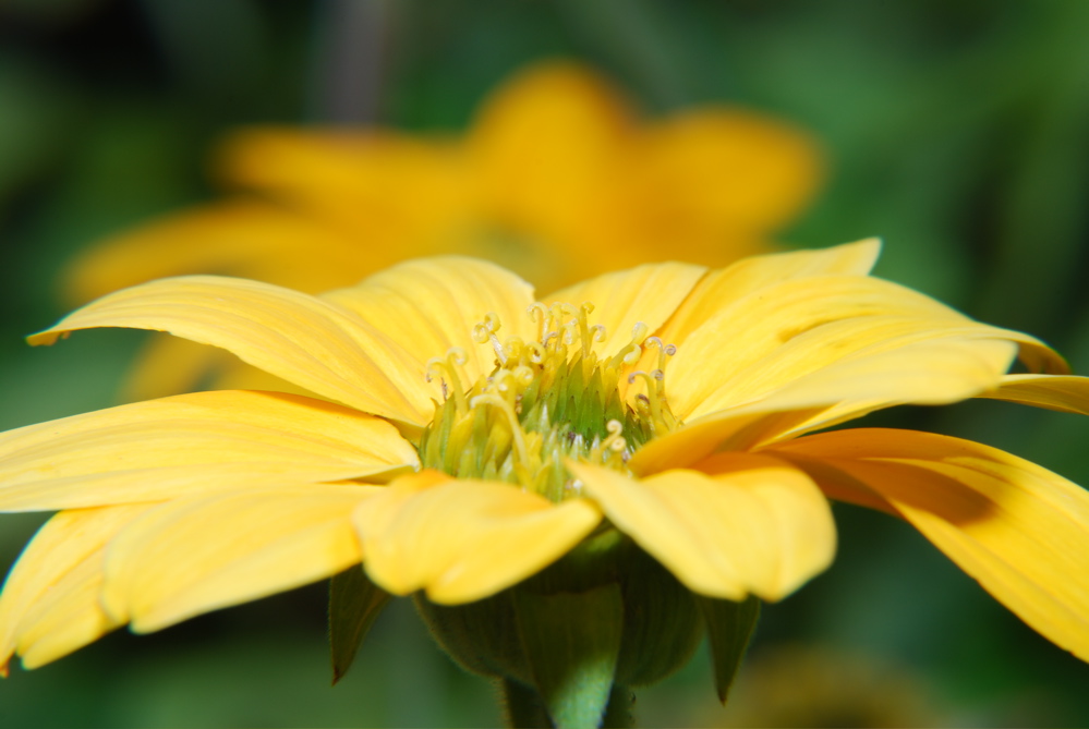 DSC_0049.JPG