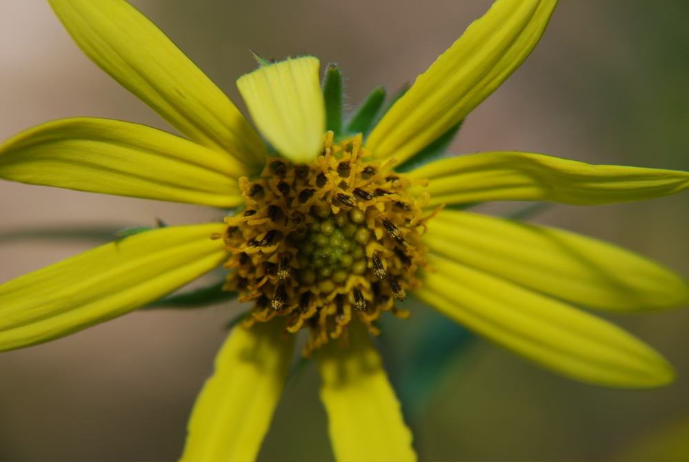 DSC_0056.JPG