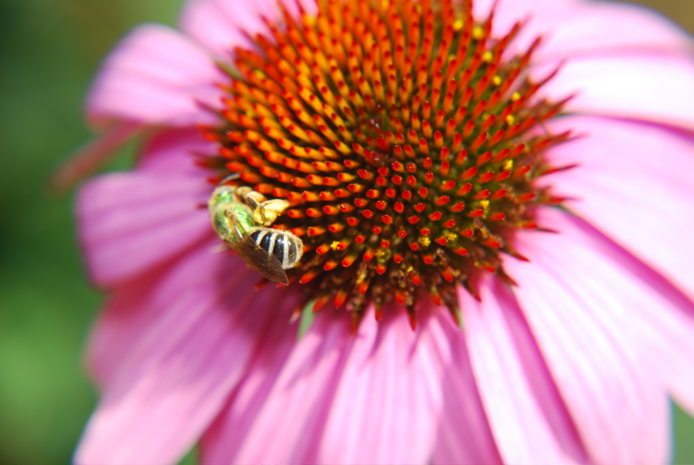DSC_0057.JPG