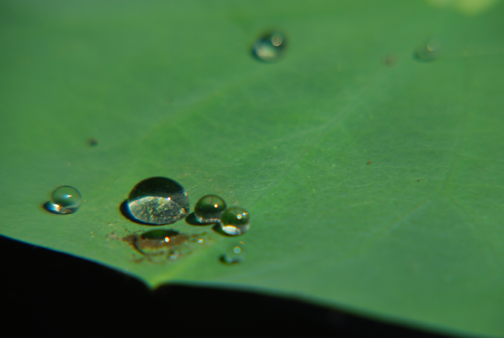 DSC_0062.JPG