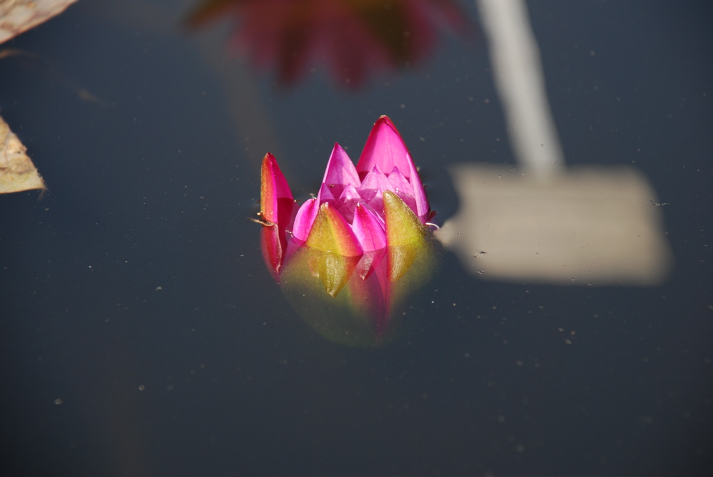 DSC_0072.JPG