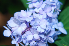 DSC_0011.JPG